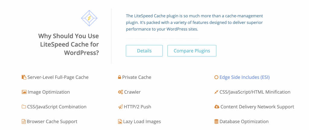 best LiteSpeed Hosting cache