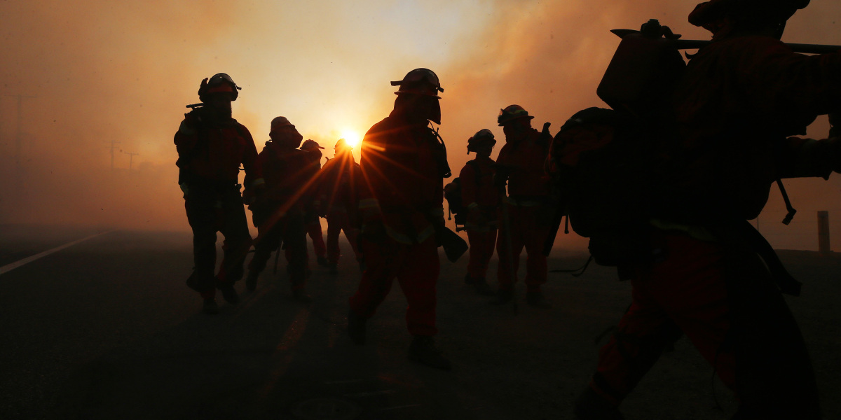 Read more about the article The pandemic has led to a reduction in emissions on the West Coast.  The forest fires have already been reversed.