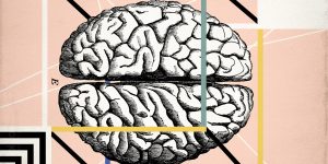 Read more about the article How Major Science Failed to Uncover the Mysteries of the Human Brain